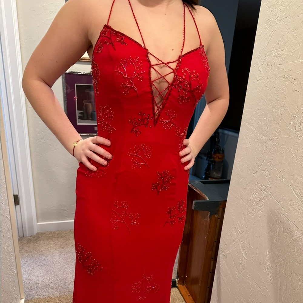 Elegant Red cherry blossom Embroidered Dress